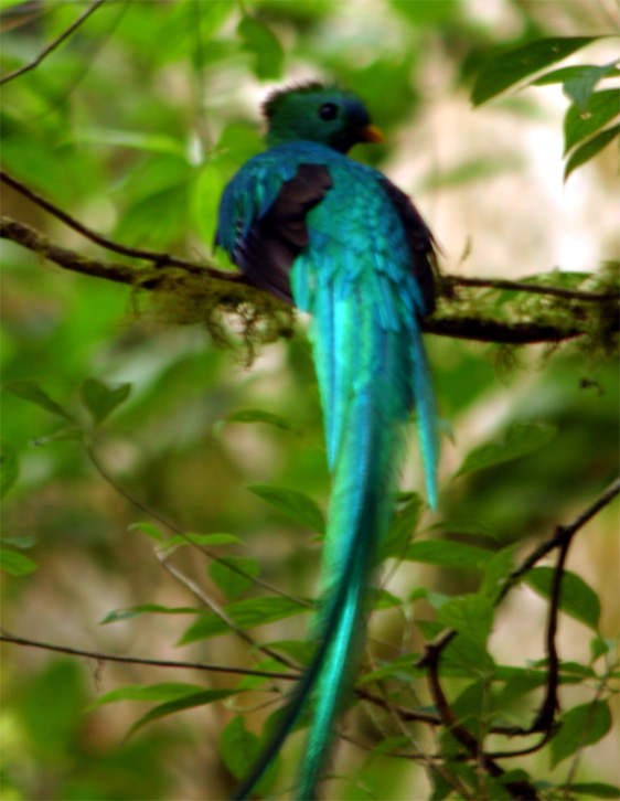 costarica-14.jpg