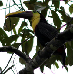 costarica-23.jpg